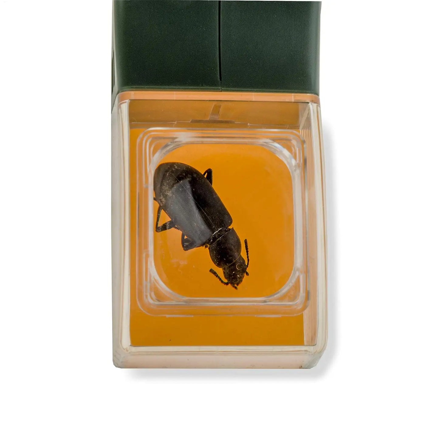 Insect Catcher Tool