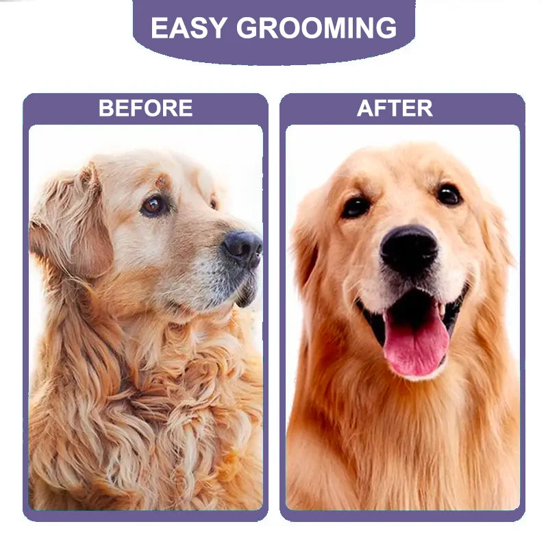 Purrfect Groom