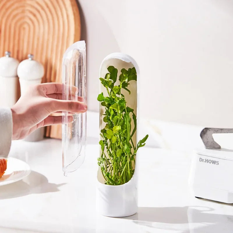 Refrigerator Herb Container
