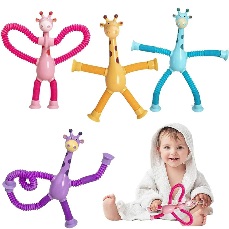 Fun & Educational Toy