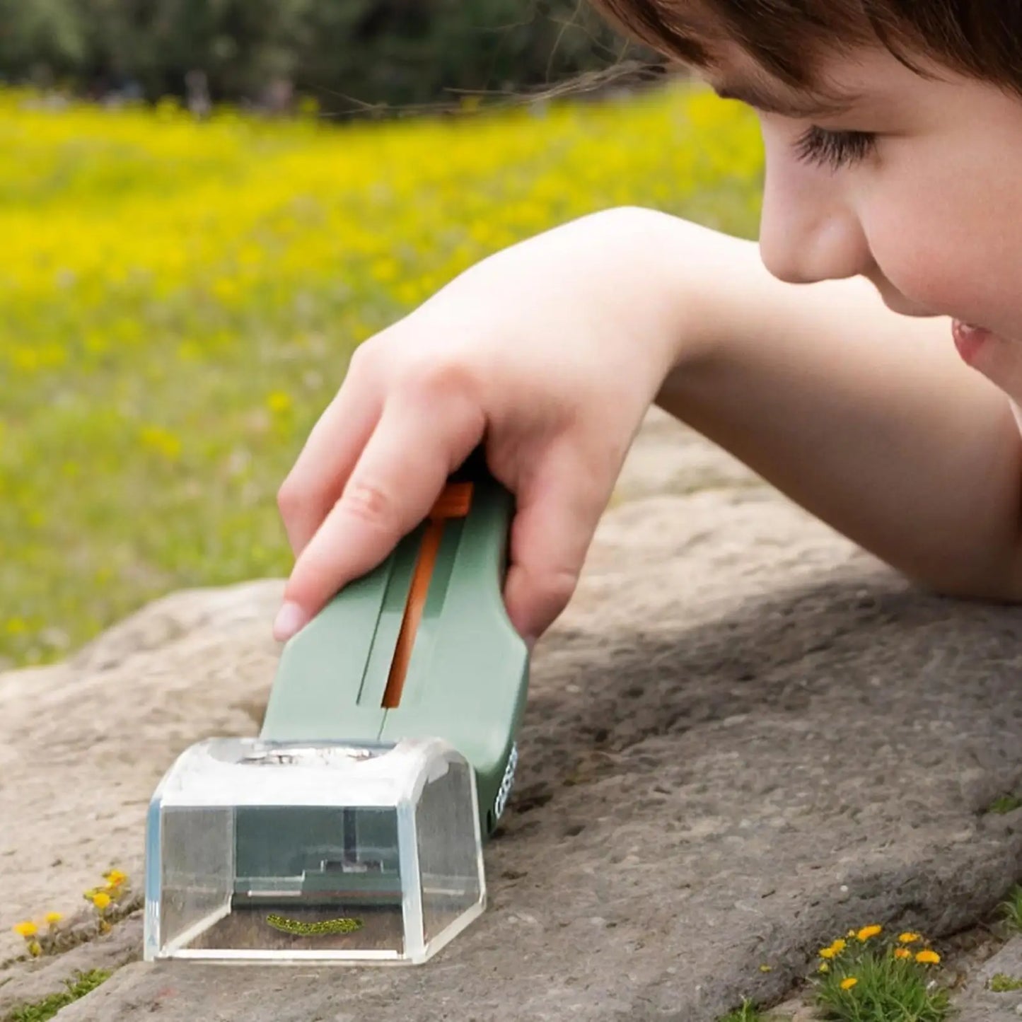 Insect Catcher Tool