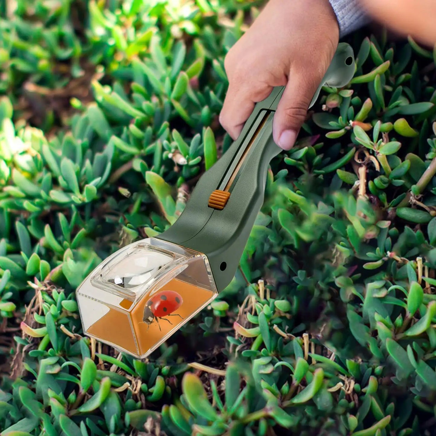 Insect Catcher Tool