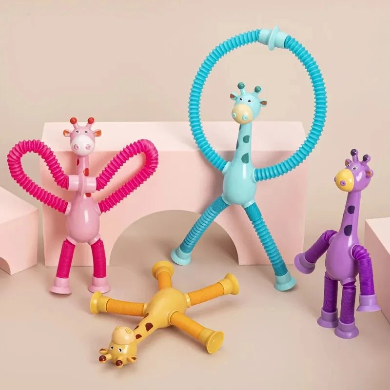 Fun & Educational Toy