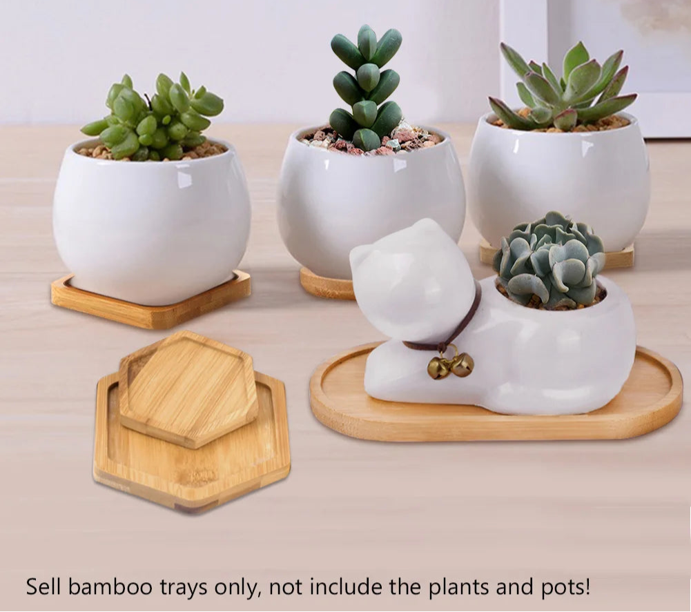Elegant Pots