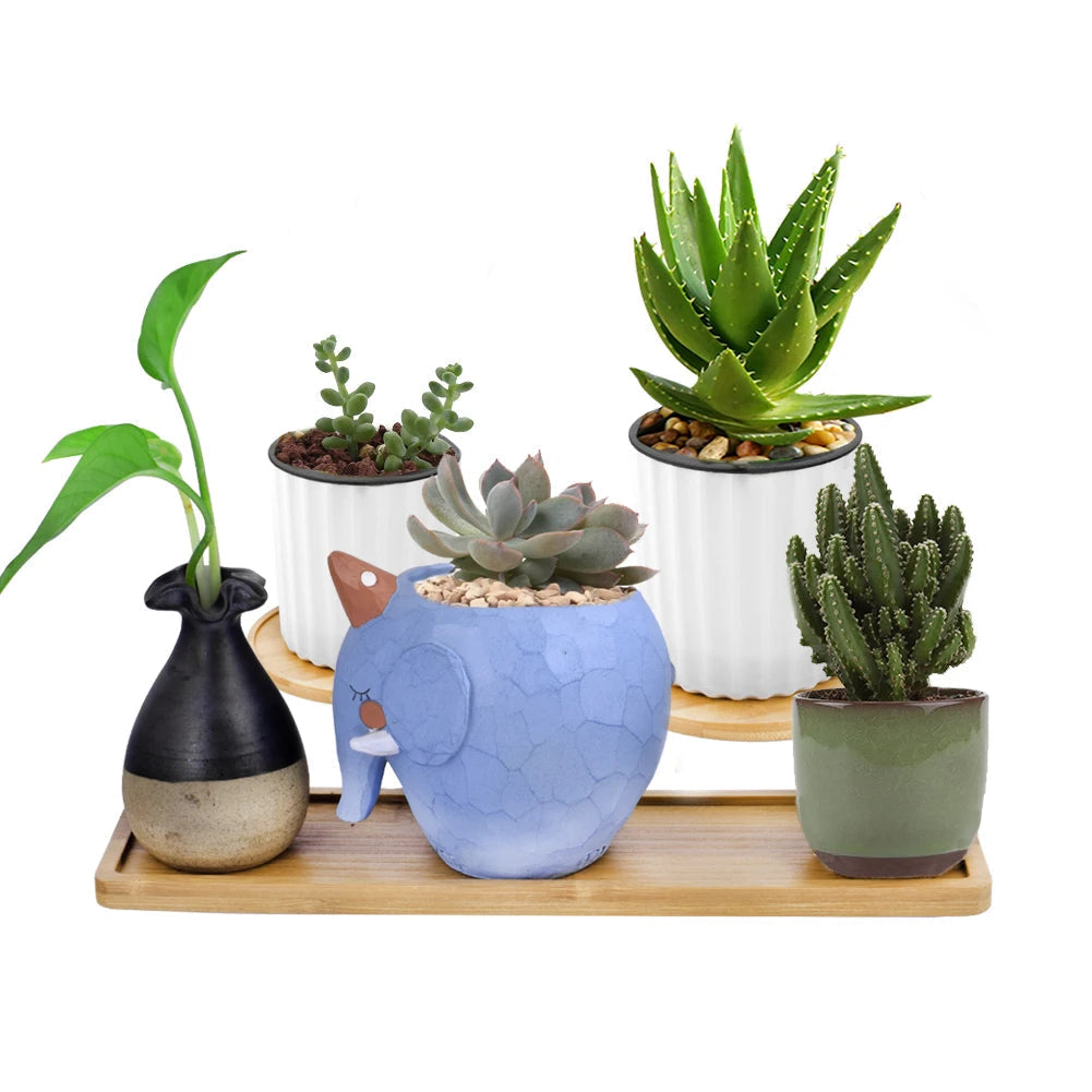 Elegant Pots