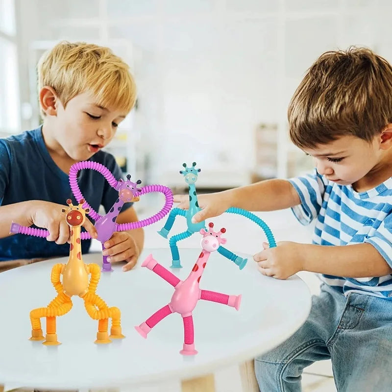 Fun & Educational Toy