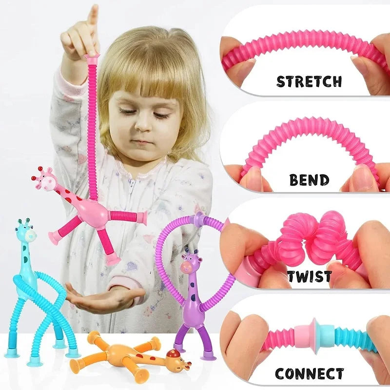 Fun & Educational Toy