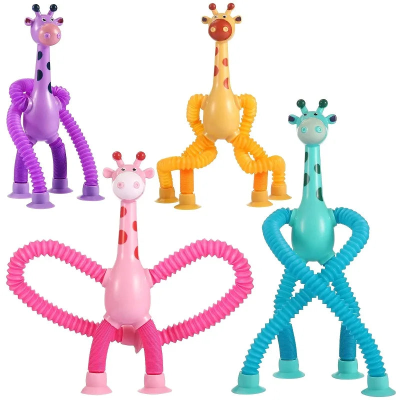 Fun & Educational Toy