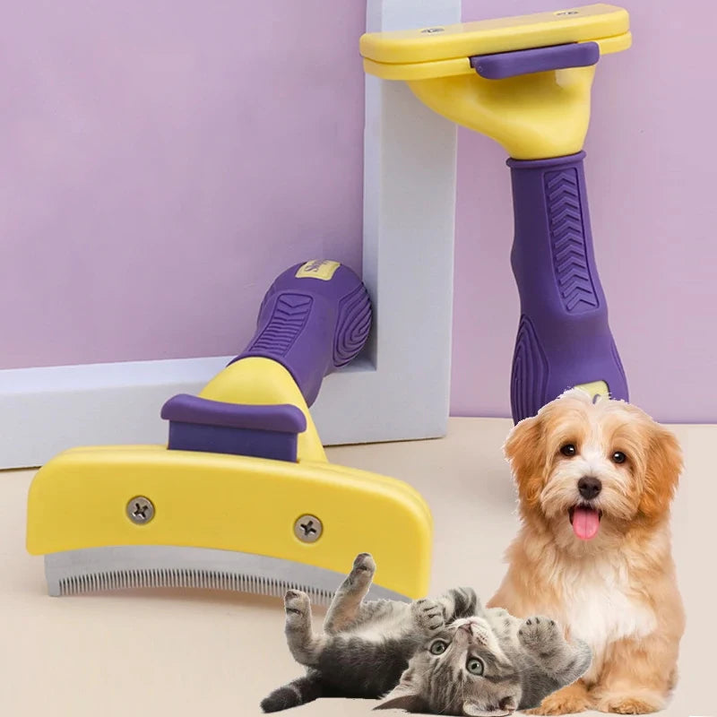 Purrfect Groom