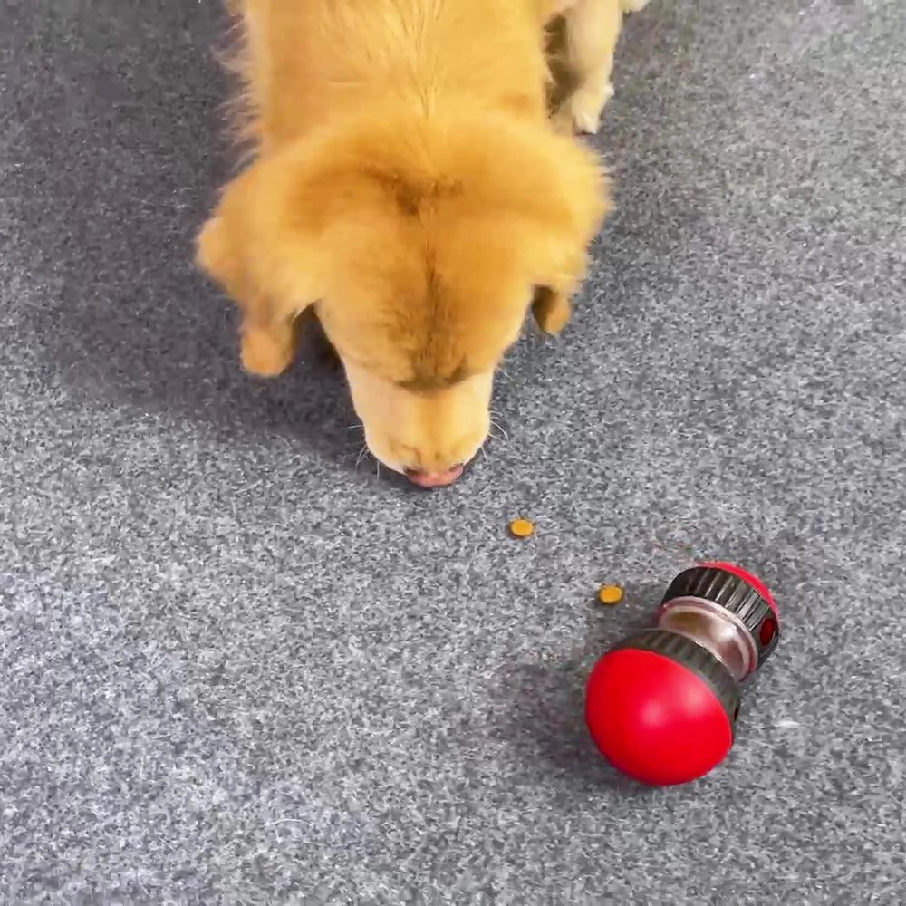 Dog Food Toy