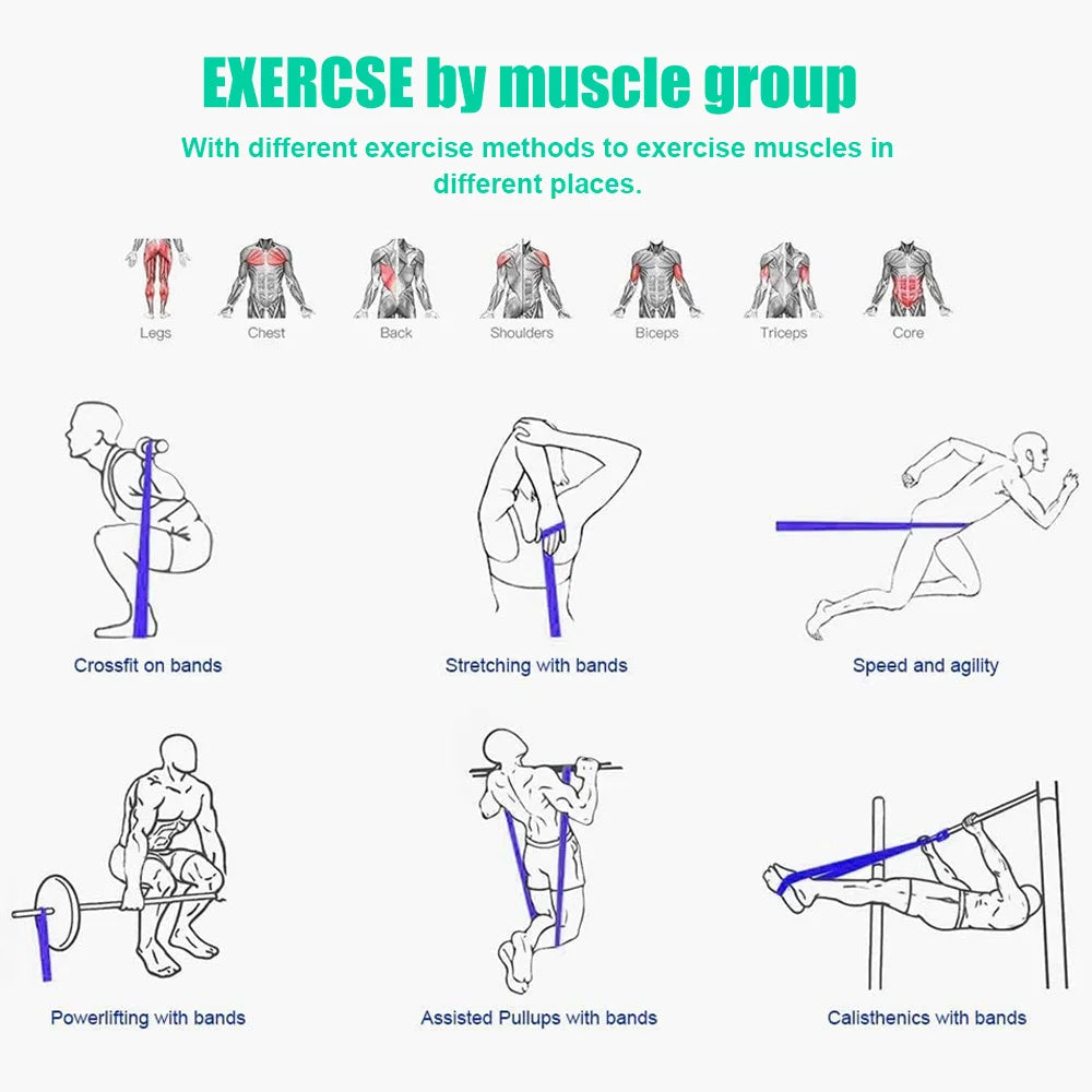 Bande de résistance PowerFlex