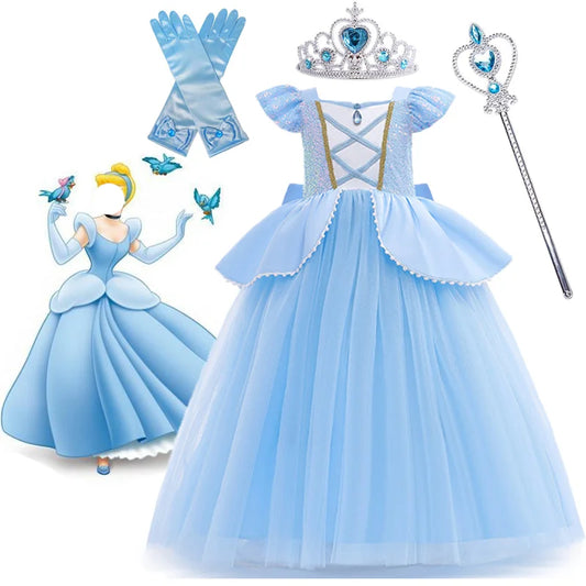 Cinderella Princess Dress