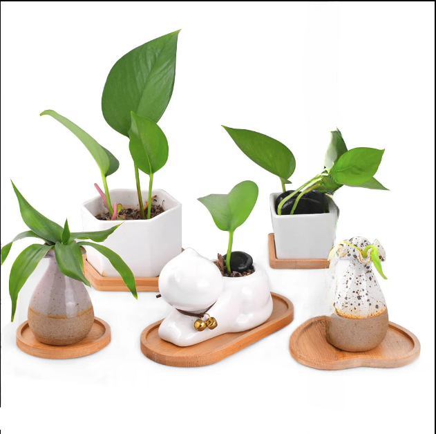 Elegant Pots